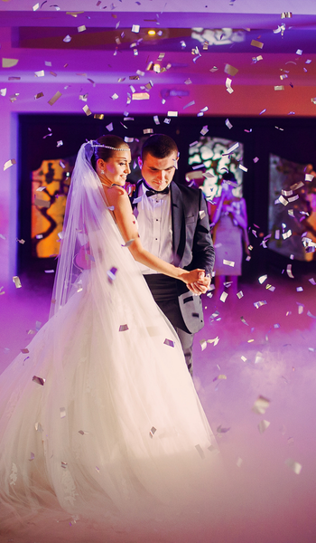 nikky (500 x 250 px)