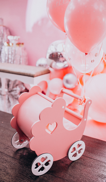 nikky (500 x 250 px)f